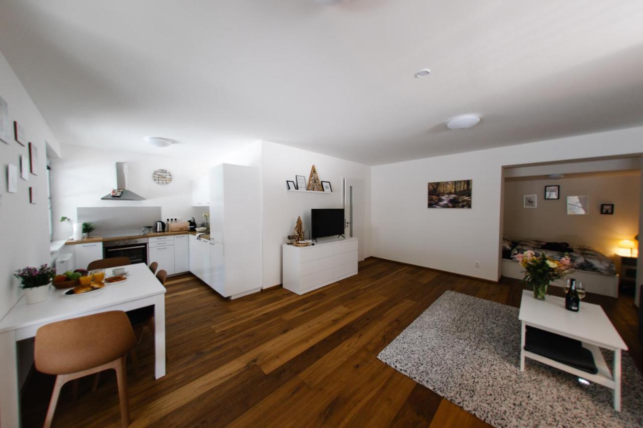 Apartman S Nadhernym Vyhledem V Centru Harrachova Ngoại thất bức ảnh
